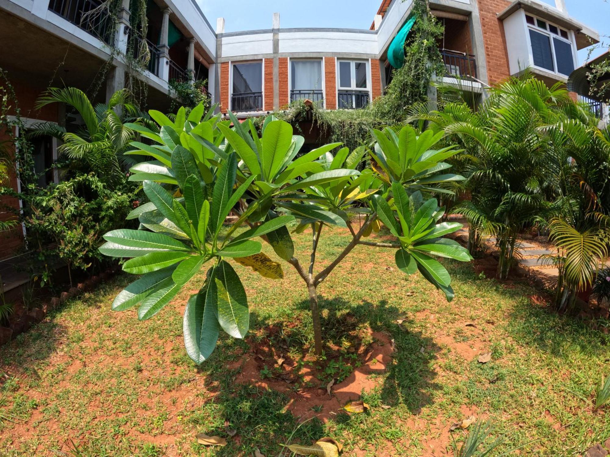 Hotel Wow Farm House Auroville Esterno foto